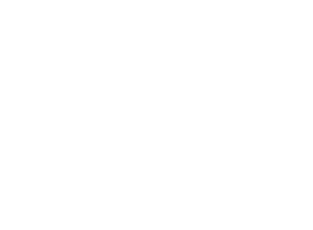 Motel Castillo Forestal